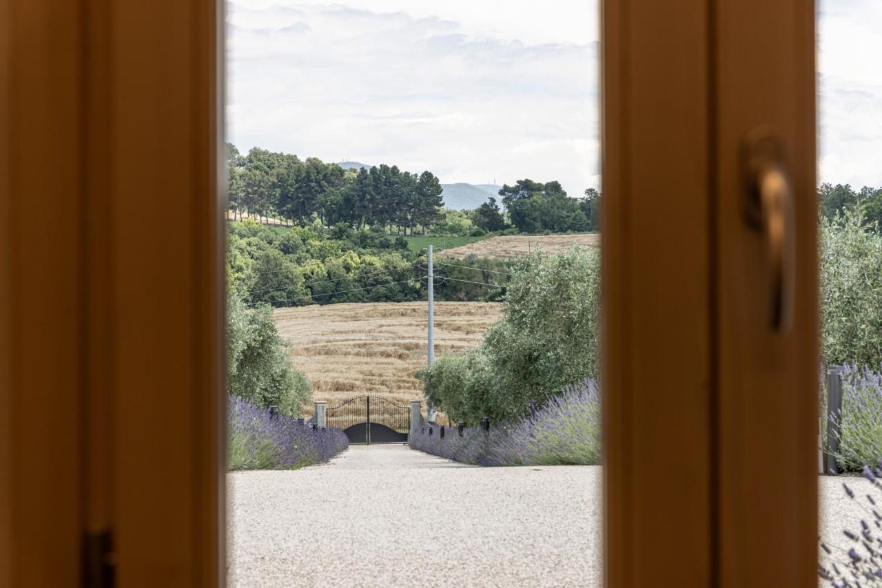 Tenuta Fogliani Resort & Natural Spa Visciano Esterno foto