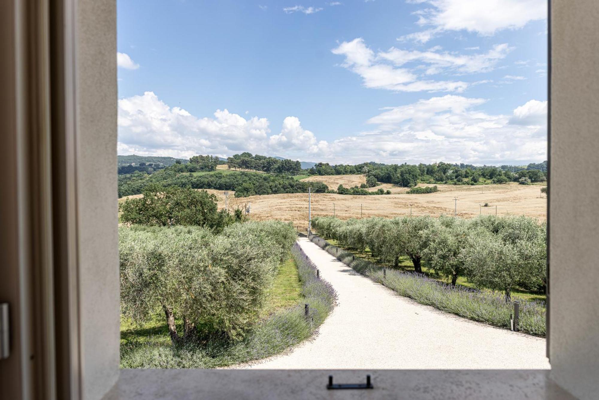 Tenuta Fogliani Resort & Natural Spa Visciano Esterno foto