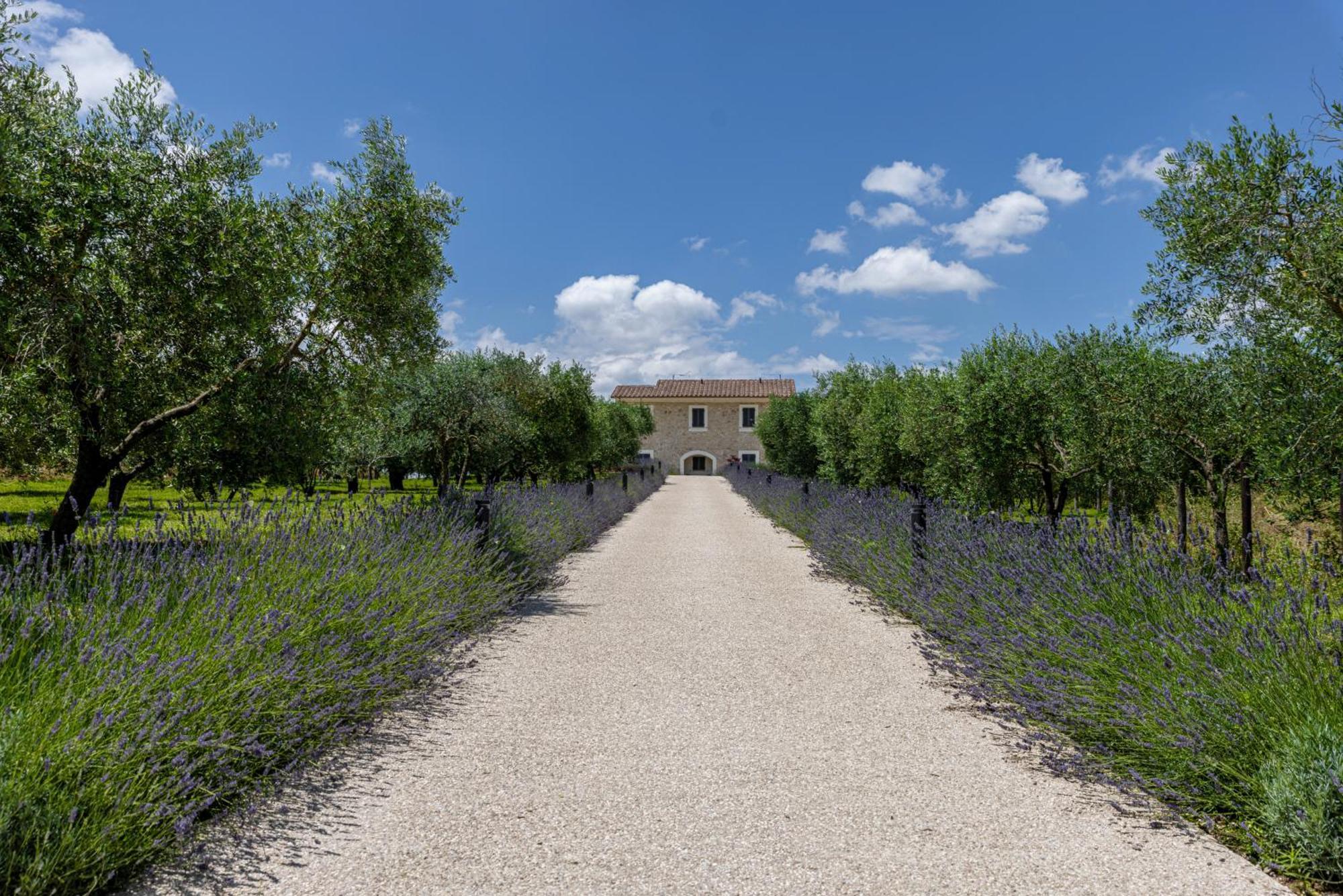 Tenuta Fogliani Resort & Natural Spa Visciano Esterno foto