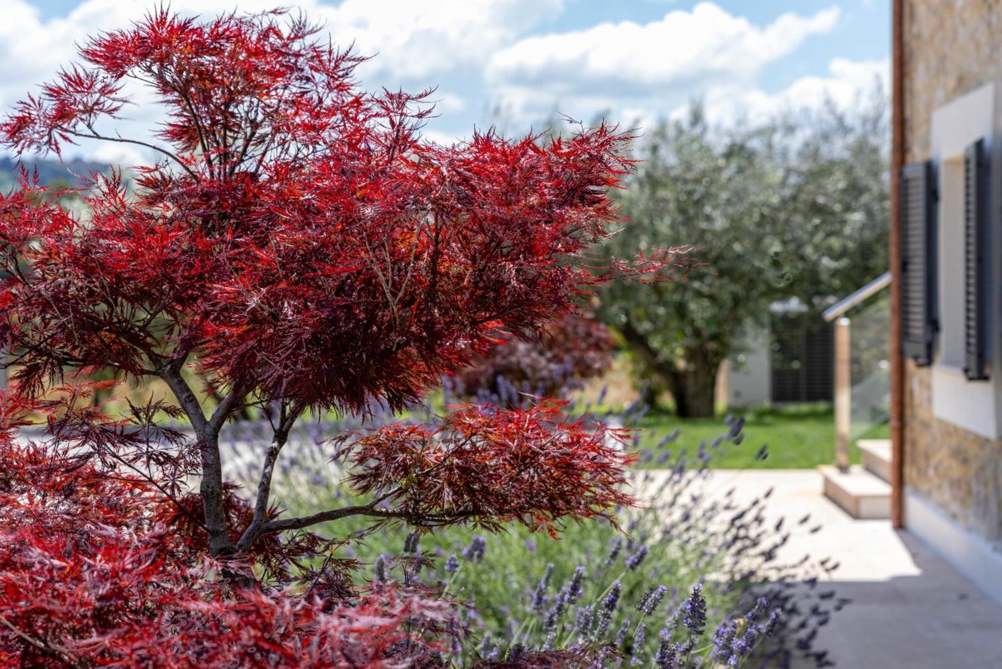 Tenuta Fogliani Resort & Natural Spa Visciano Esterno foto