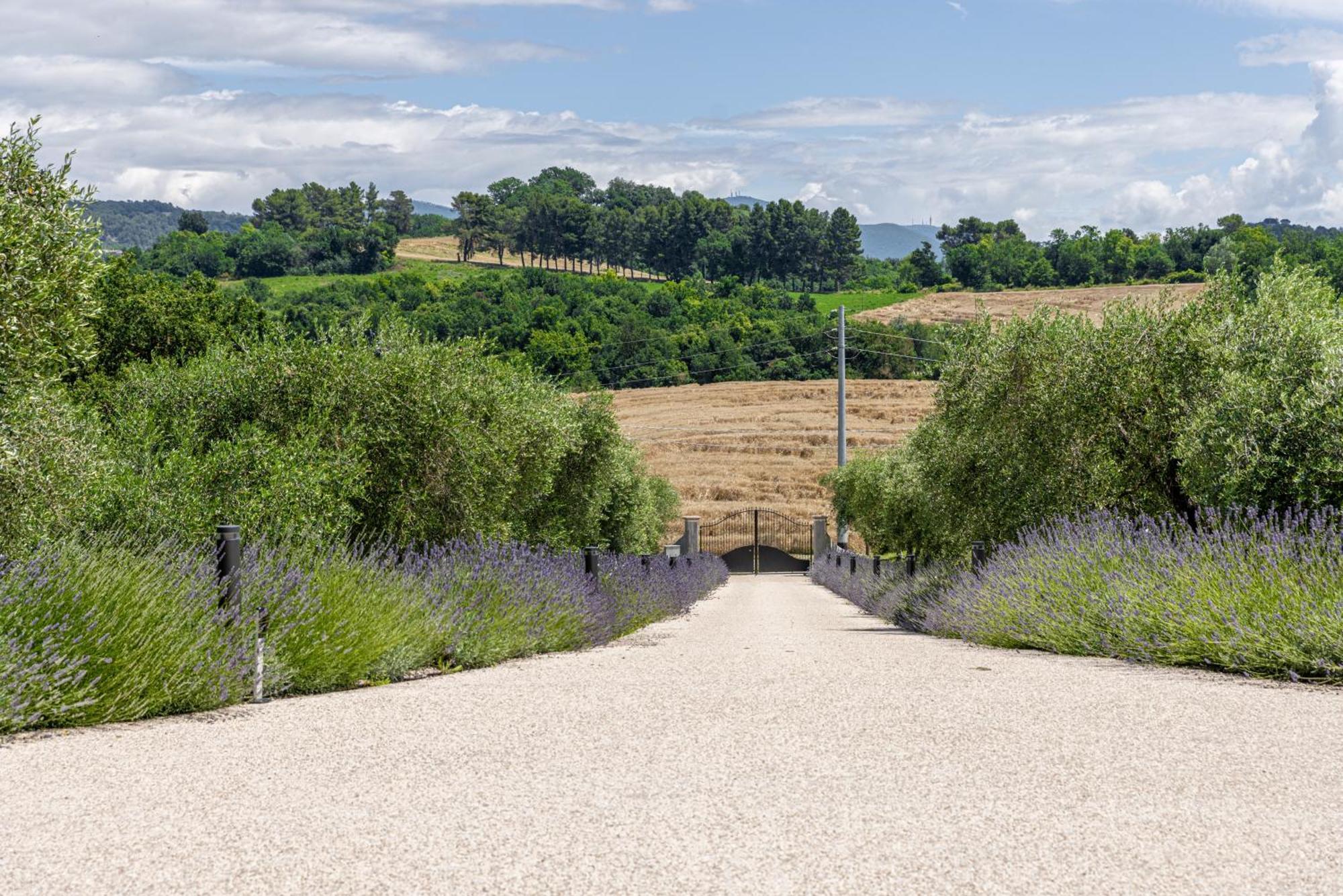 Tenuta Fogliani Resort & Natural Spa Visciano Esterno foto