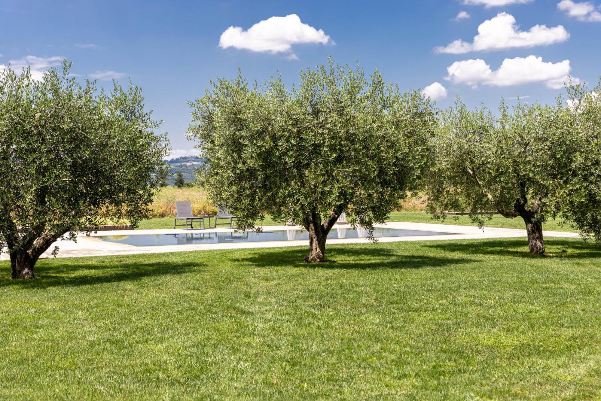 Tenuta Fogliani Resort & Natural Spa Visciano Esterno foto