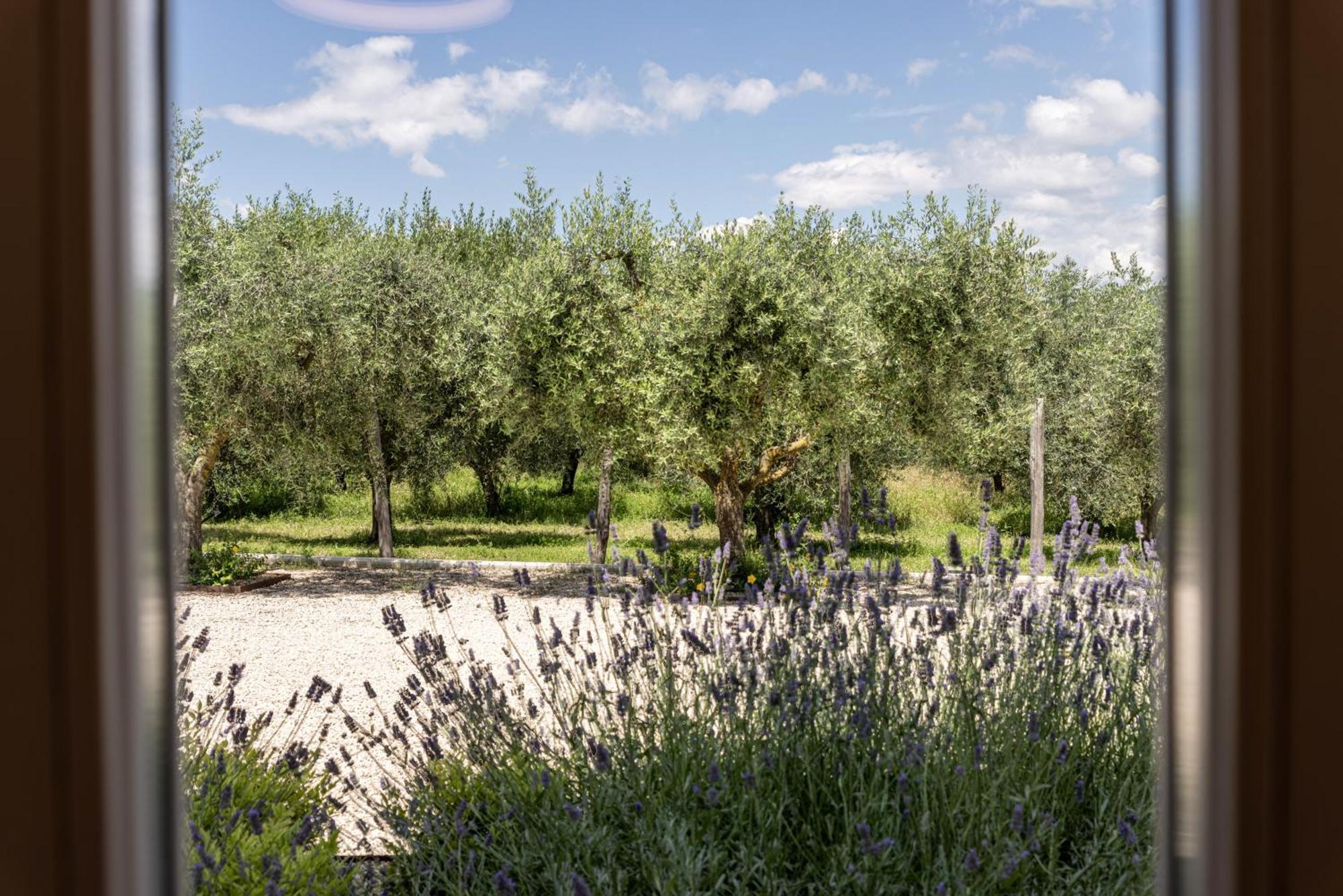 Tenuta Fogliani Resort & Natural Spa Visciano Esterno foto